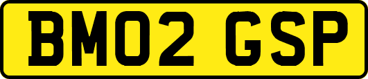 BM02GSP