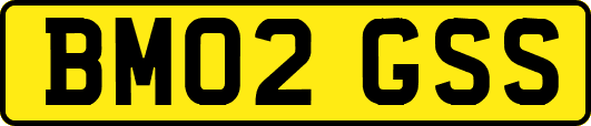 BM02GSS