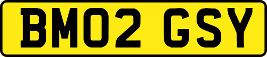 BM02GSY