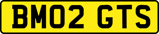 BM02GTS
