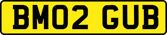 BM02GUB