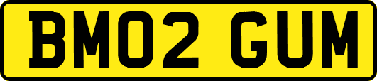 BM02GUM