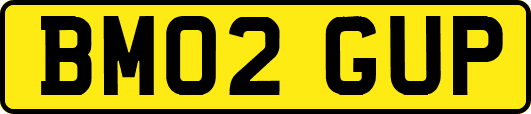 BM02GUP