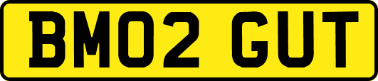 BM02GUT