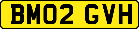 BM02GVH