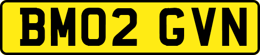 BM02GVN