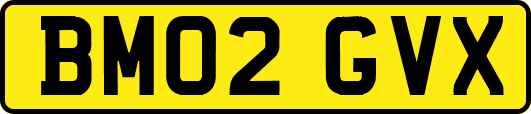 BM02GVX