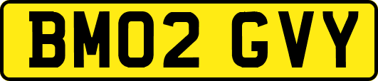 BM02GVY