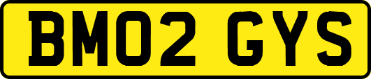 BM02GYS