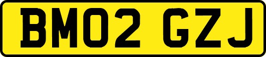 BM02GZJ
