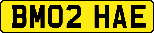 BM02HAE