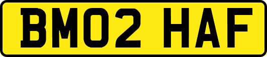 BM02HAF