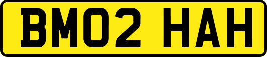 BM02HAH