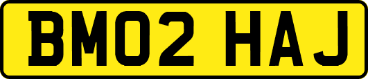 BM02HAJ