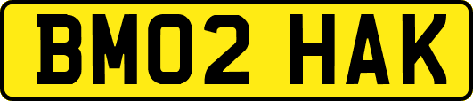 BM02HAK