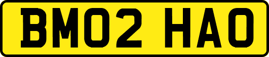 BM02HAO