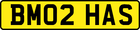BM02HAS
