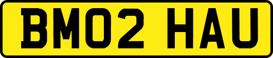 BM02HAU