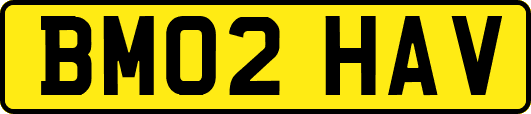 BM02HAV