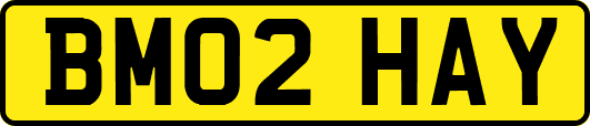 BM02HAY