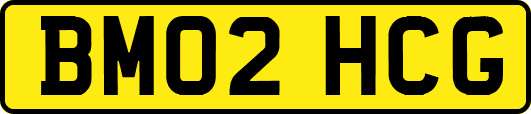 BM02HCG