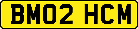 BM02HCM