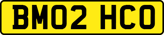 BM02HCO