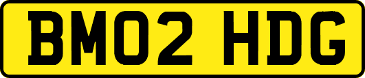 BM02HDG