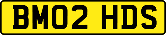 BM02HDS