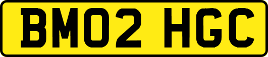 BM02HGC