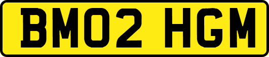 BM02HGM