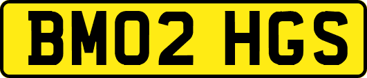 BM02HGS