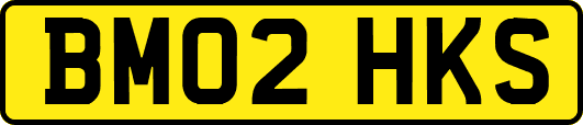 BM02HKS