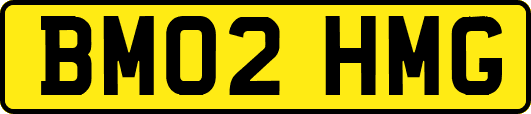 BM02HMG