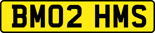 BM02HMS
