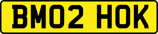 BM02HOK