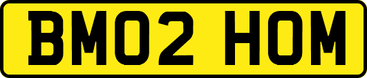 BM02HOM