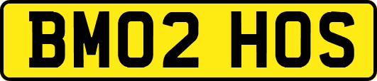 BM02HOS