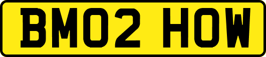 BM02HOW