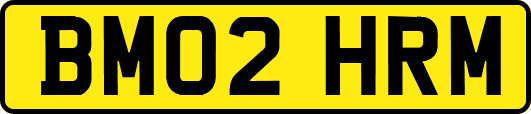 BM02HRM