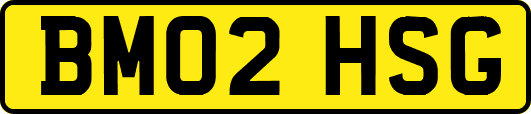BM02HSG