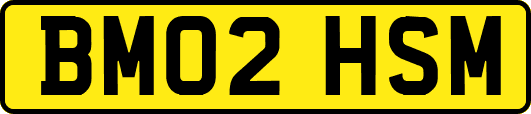 BM02HSM