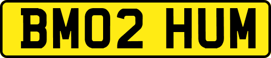 BM02HUM
