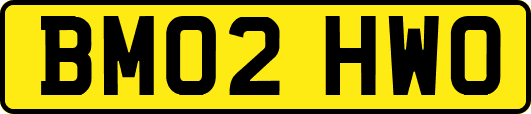 BM02HWO