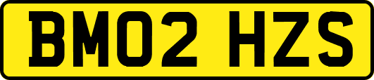 BM02HZS