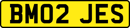 BM02JES