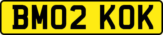 BM02KOK