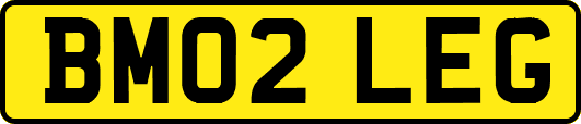 BM02LEG
