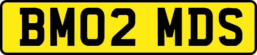 BM02MDS