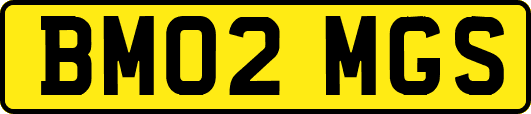 BM02MGS
